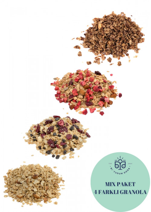 El Yapımı 4'lü Mix Granola
