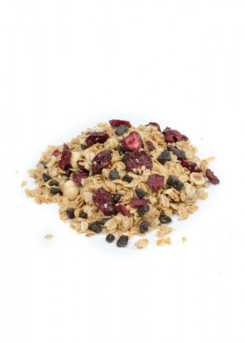 El Yapımı Granola Vişne - Bitter